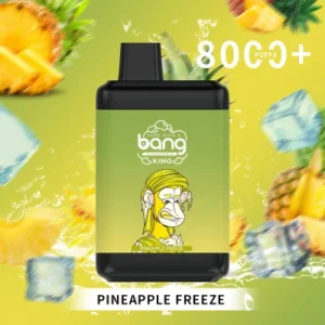 Bang King 8000 Puffs 0% 2% 3% 5% Nikotiini Kertakäyttöinen Vape Tukkumyynti - AlsoVape - 20
