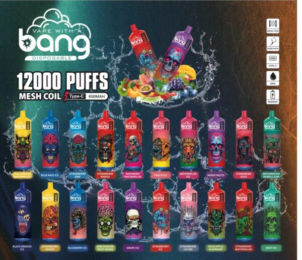 Bang Box 12000 Puffs 0% 2% 3% 5% Nicotina Vape desechable recargable al por mayor - AlsoVape - 1