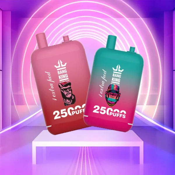 Bang King 25000 Puffs Dual Pods 0% 2% 3% 5% Vapes desechables recargables con bajo contenido de nicotina Pluma Compra a granel al por mayor - AlsoVape - 1